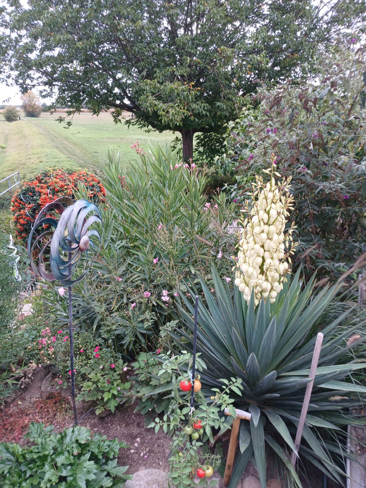 Tipps für den Herbst - Gartenarbeit im Oktober